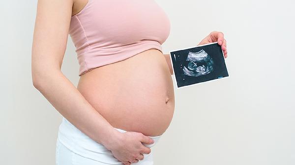 水仙花有毒吗 能够在室内养吗